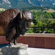 Ralphie statue on top of CASE Building at CU Boulder